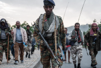 Les rebelles tigréens en position de prendre Addis Abeba 