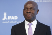 L'ONU plaide pour l'investissement agricole
