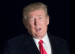 La destitution de Trump serait impossible