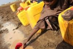 La corne de l'Afrique de plus en plus aride 
