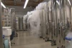 Une adolescente obtient le droit d'être cryogénisée