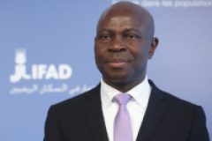 L'ONU plaide pour l'investissement agricole